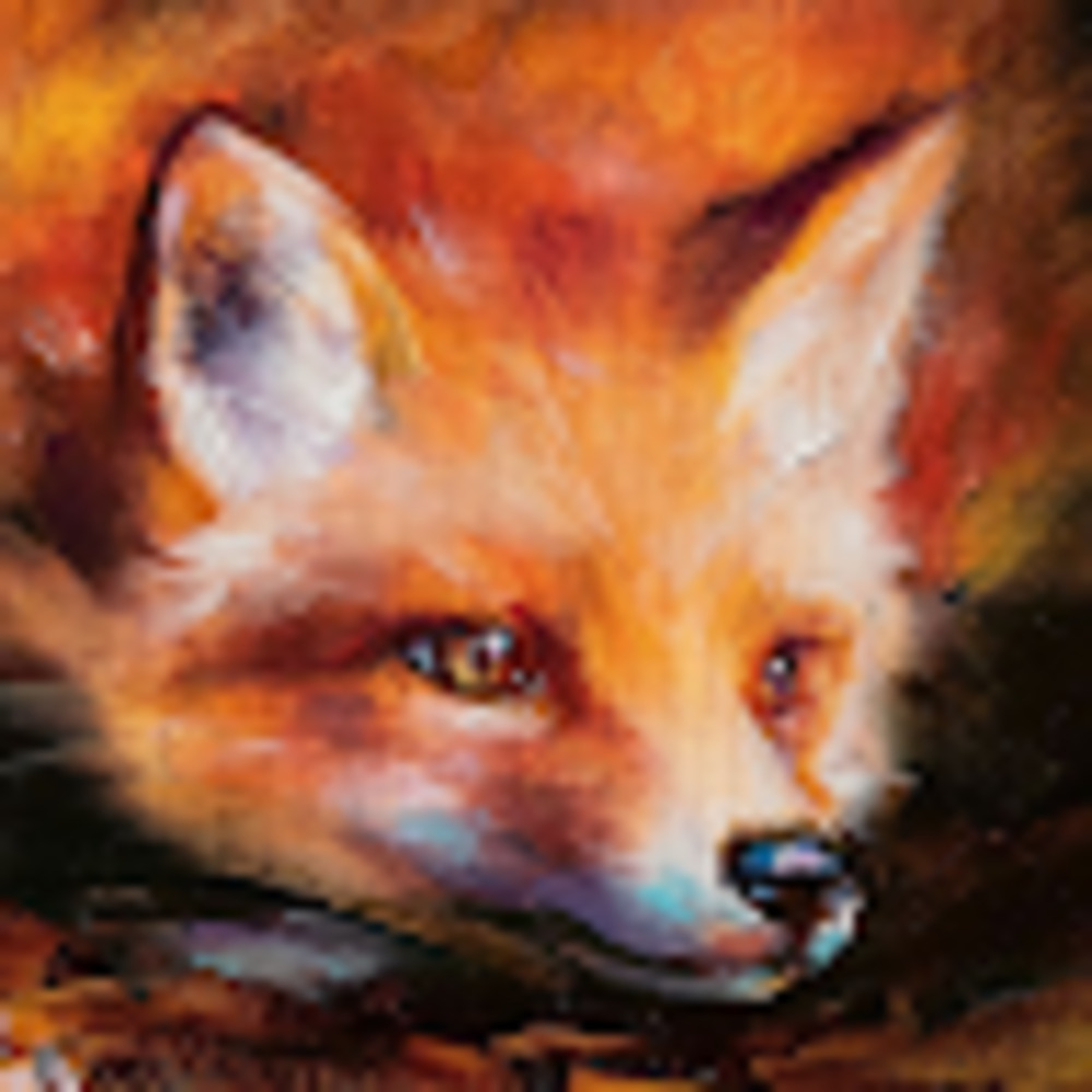 Meet your Posher, Heidi